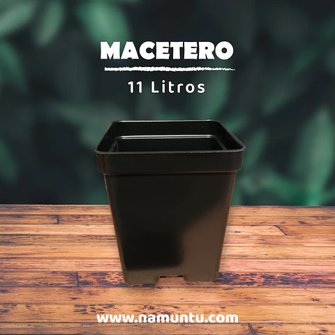 Macetero 11L