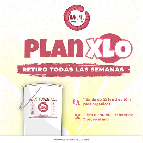 PLAN XLO