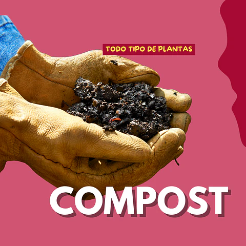 Todo tipo de plantas - Compost