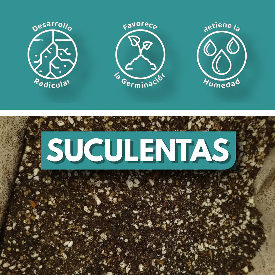 SUSTRATO PARA SUCULENTAS 1