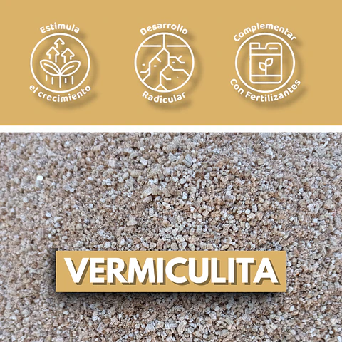 VERMICULITA