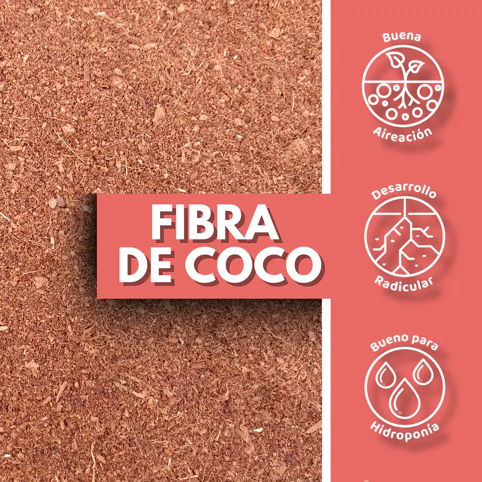 FIBRA DE COCO 1