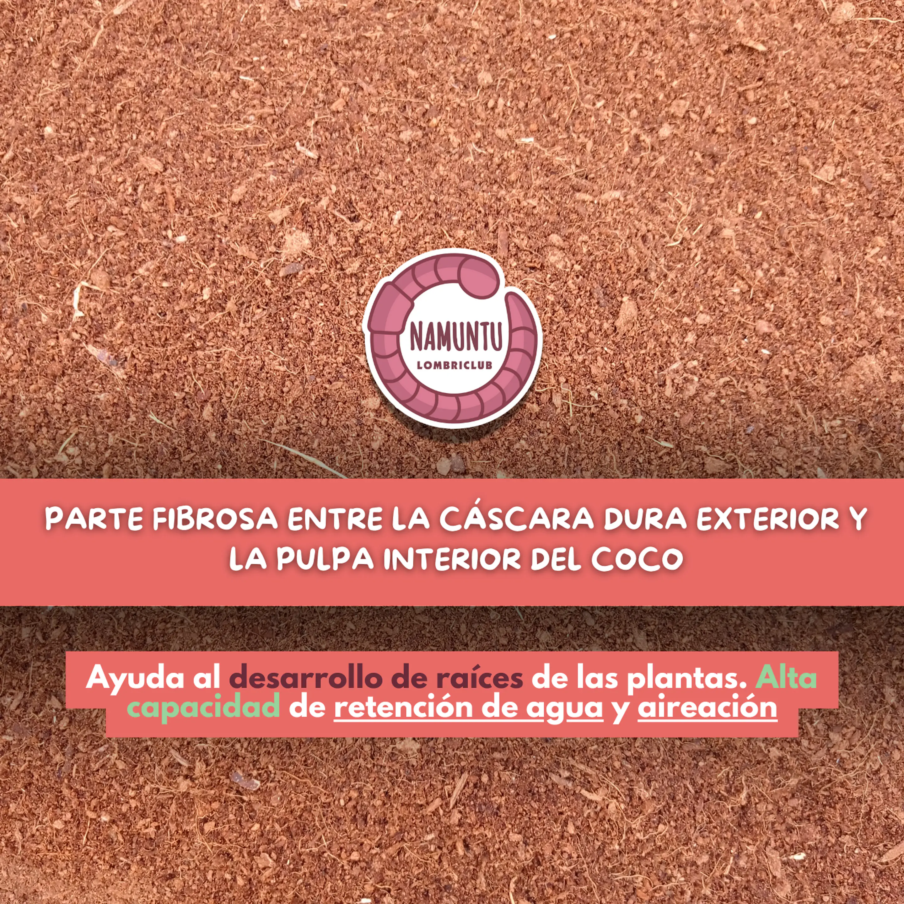 FIBRA DE COCO 2
