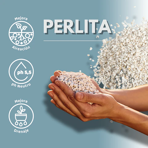PERLITA