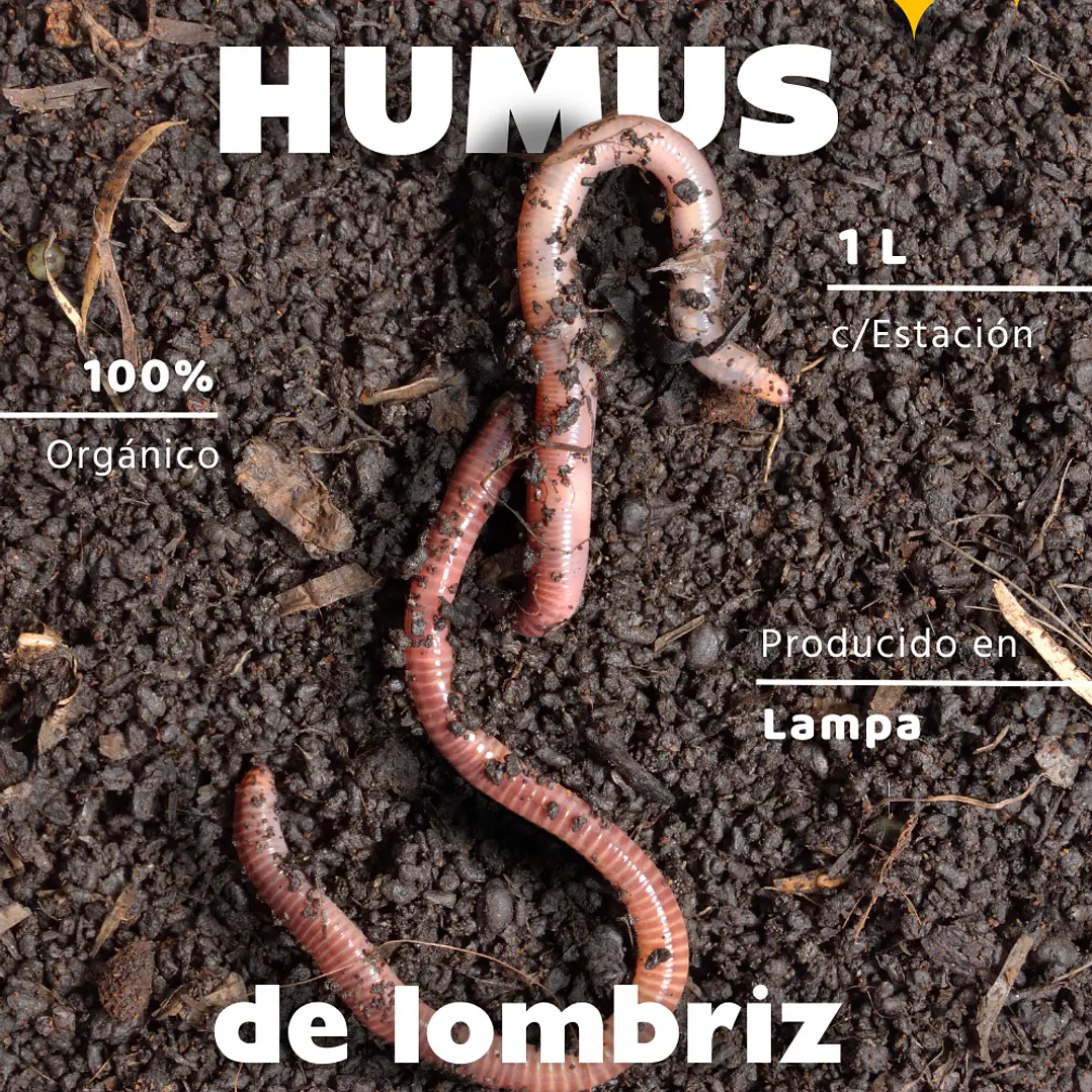 HUMUS DE LOMBRIZ 3