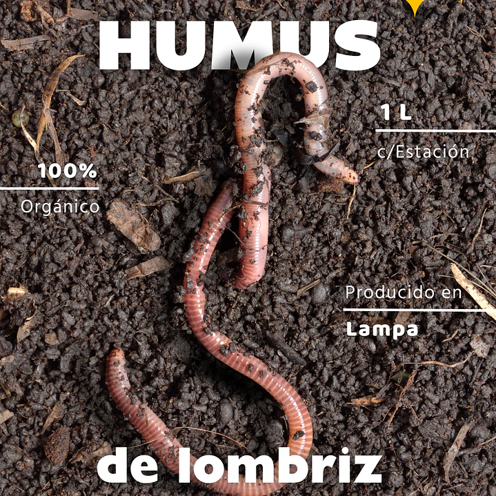 HUMUS DE LOMBRIZ 3