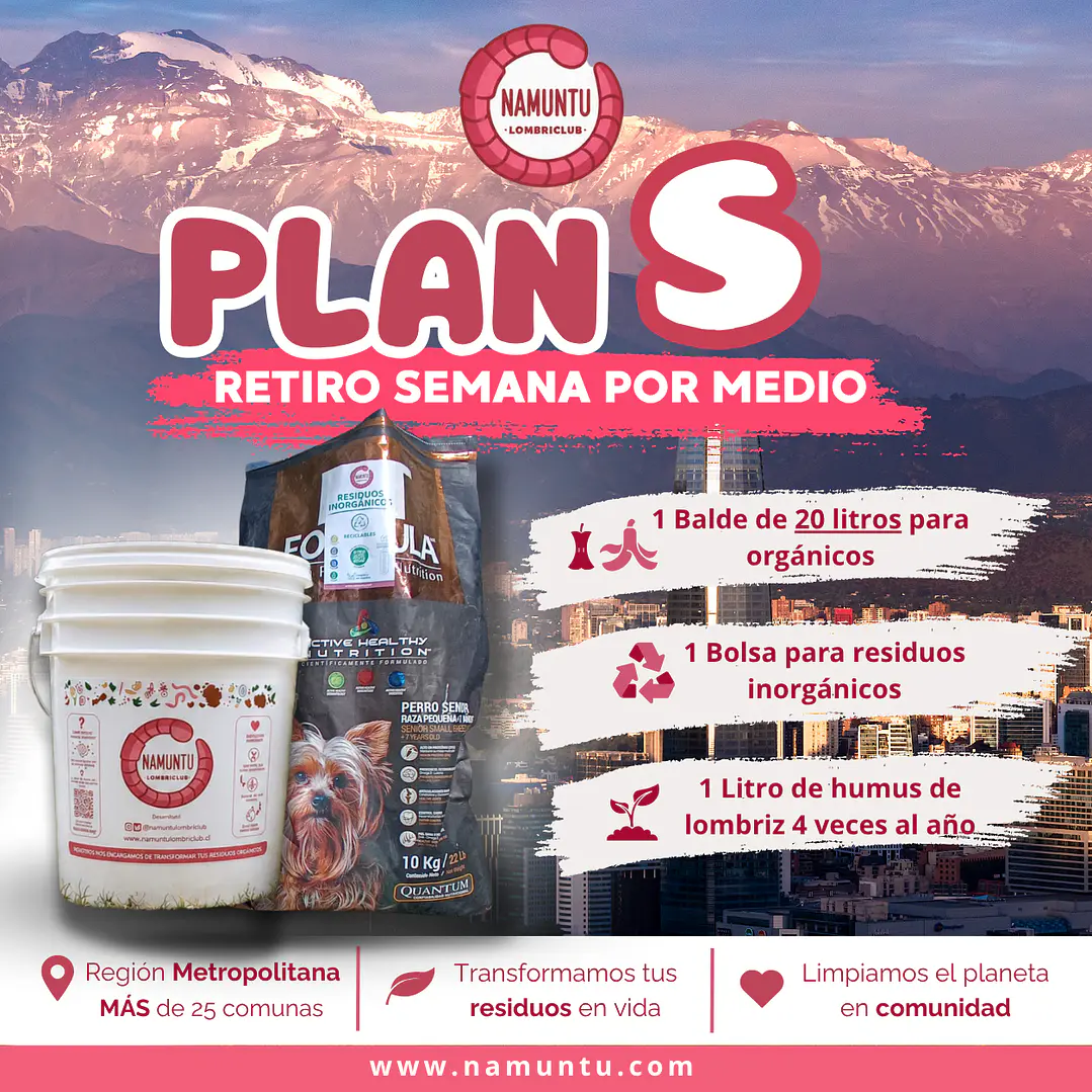 PLAN S 1