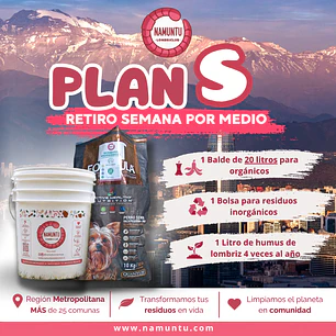PLAN S