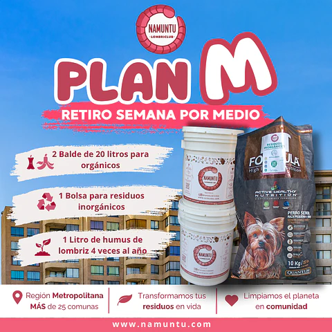 PLAN M