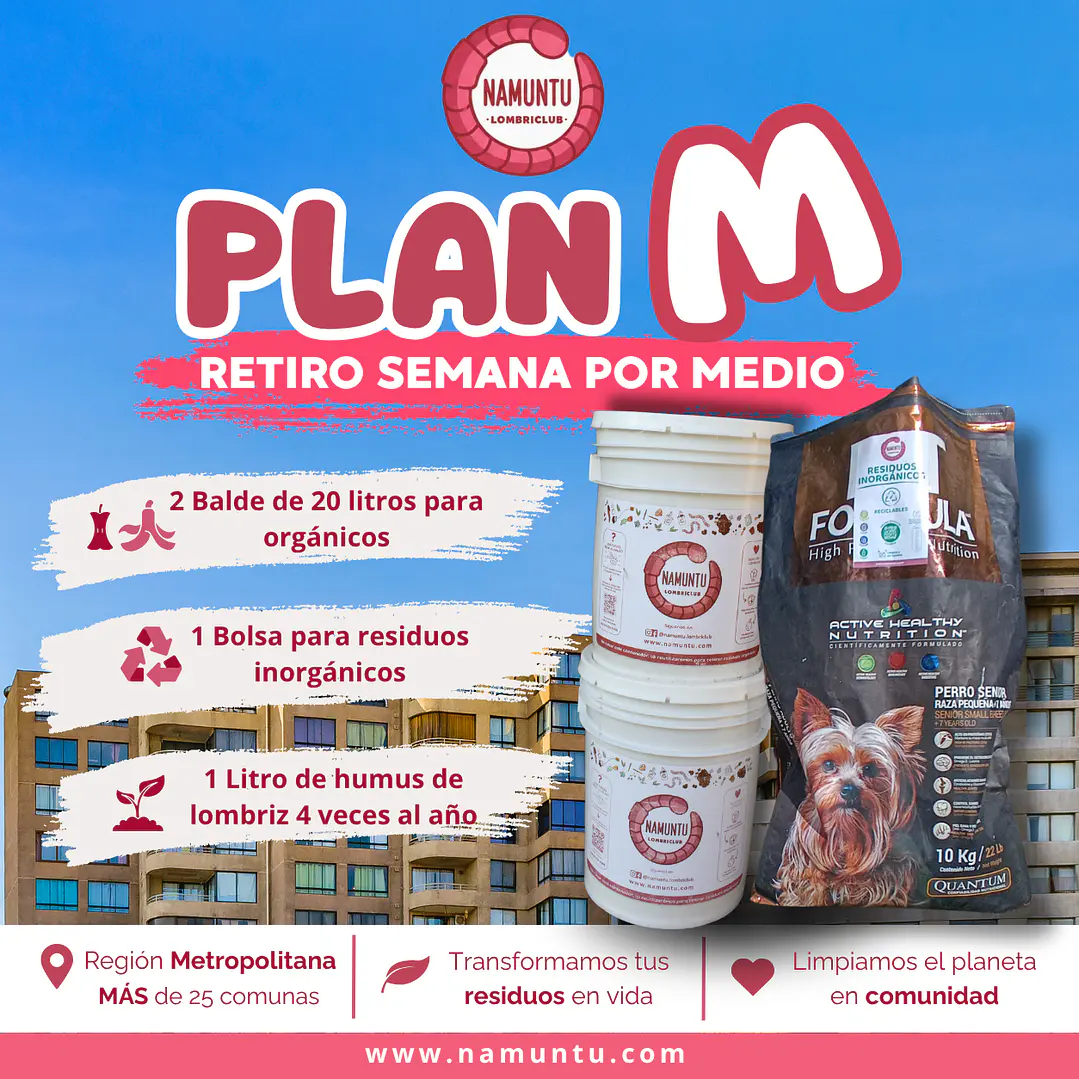 PLAN M 1