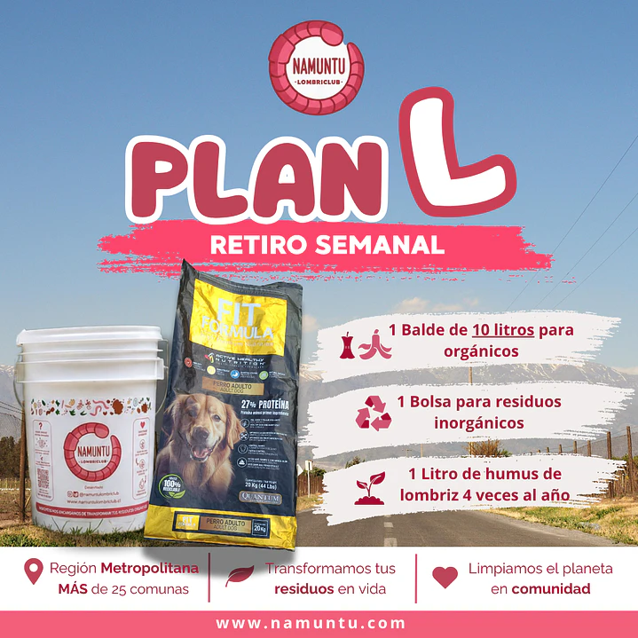 PLAN L 1