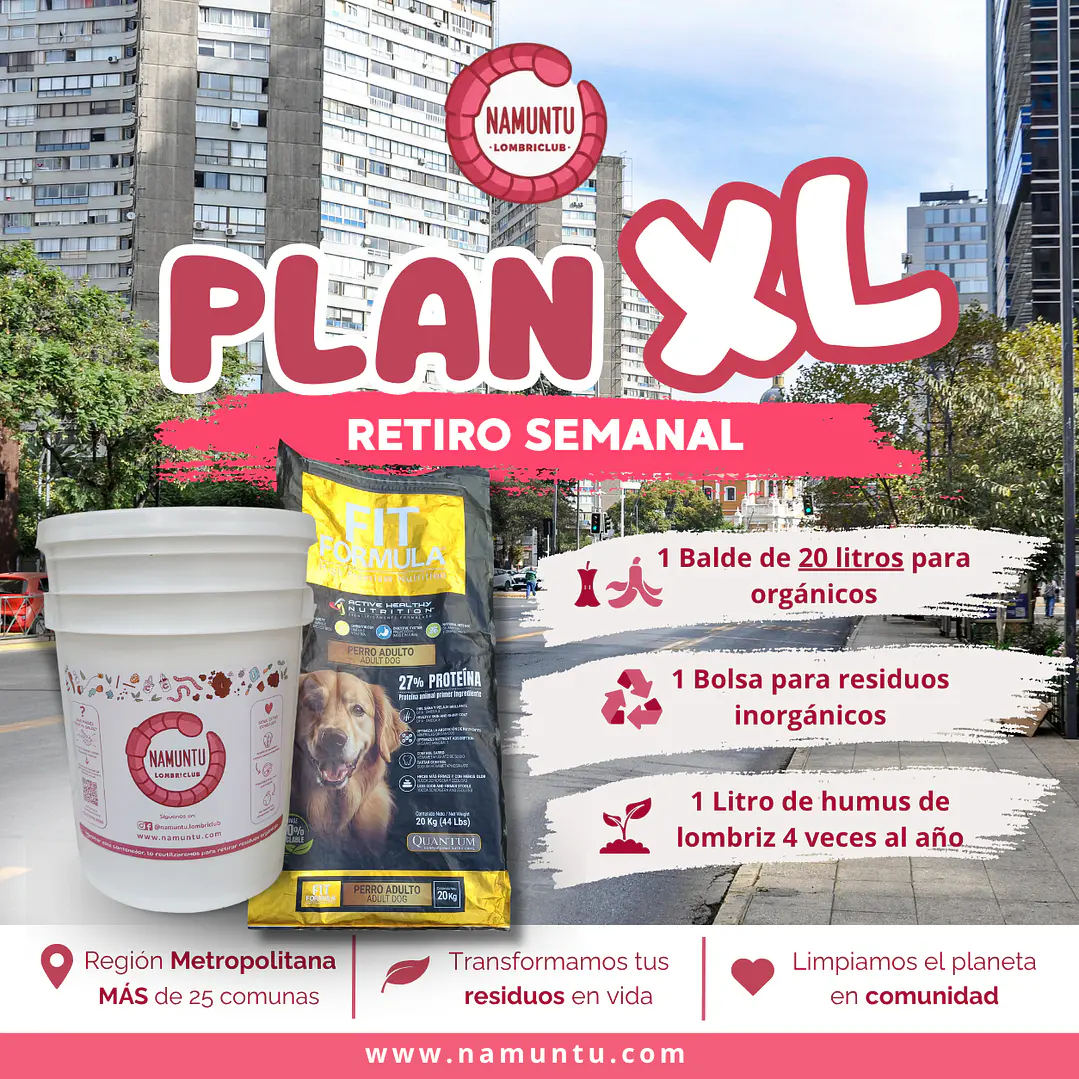 PLAN XL 1
