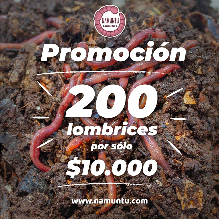 NÚCLEO LOMBRICES 2