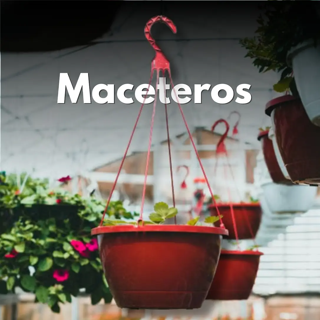 MACETEROS