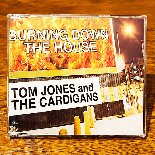 Tom Jones & The Cardigans - Burning Down the House CD2