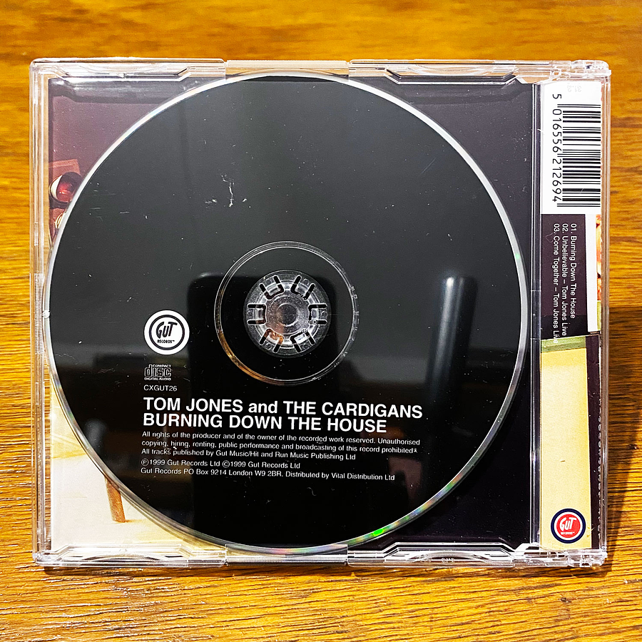 Tom Jones & The Cardigans - Burning Down the House CD2 2