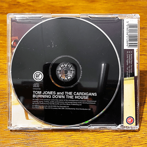 Tom Jones & The Cardigans - Burning Down the House CD2