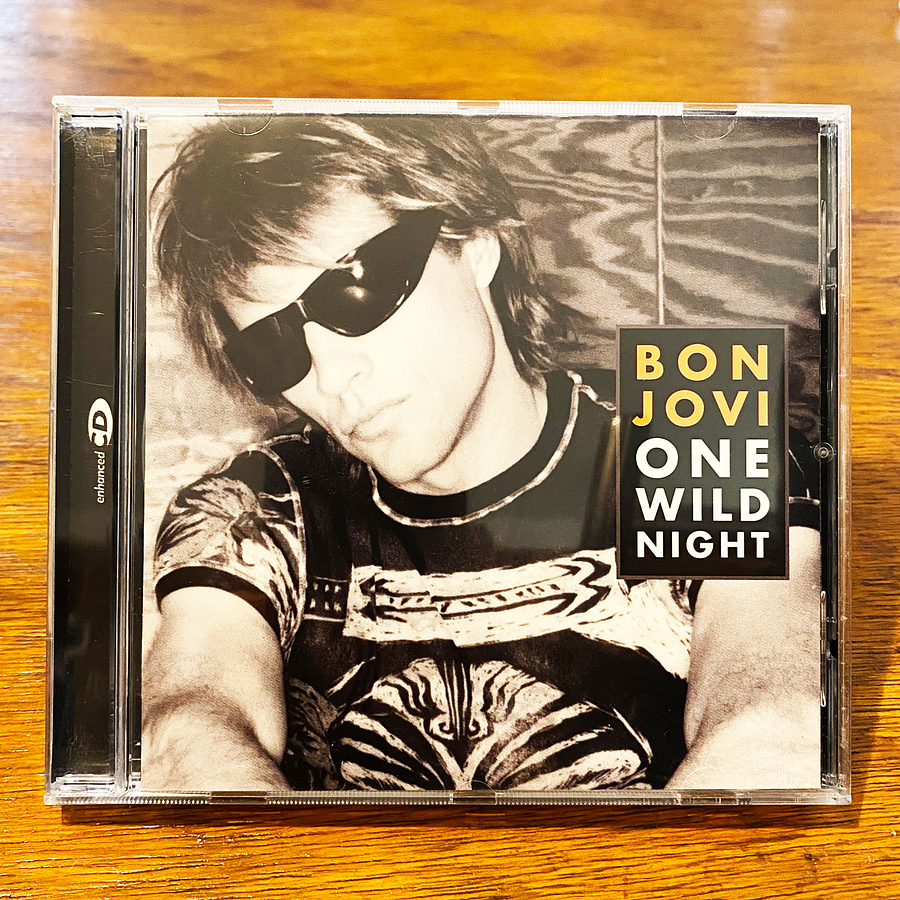 Bon Jovi - One Wild Night 1