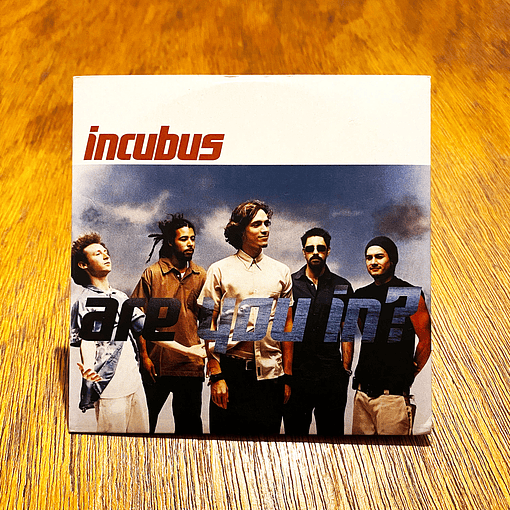Incubus - Are You In? 