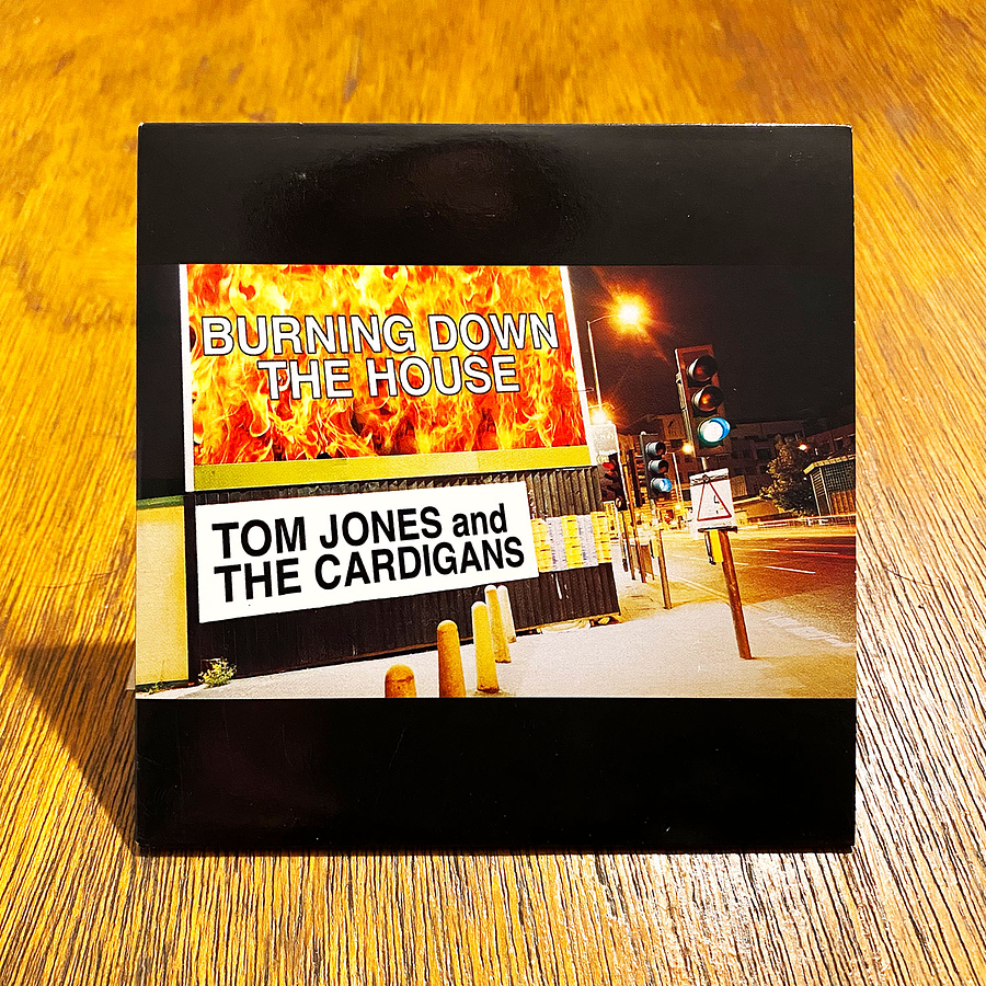 Tom Jones & The Cardigans - Burning Down The House 1