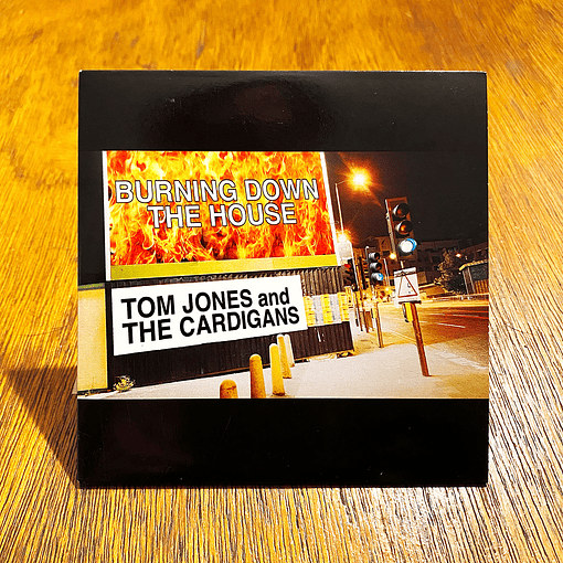 Tom Jones & The Cardigans - Burning Down The House