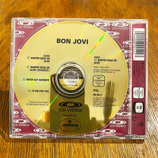 Bon Jovi - Wanted Dead Or Alive (CDV, 5