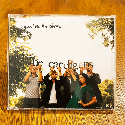 The Cardigans - You're The Storm