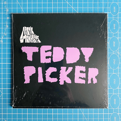 Arctic Monkeys - Teddy Picker 7