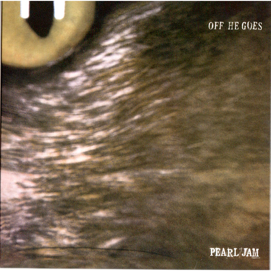 Pearl Jam - Off He Goes 1