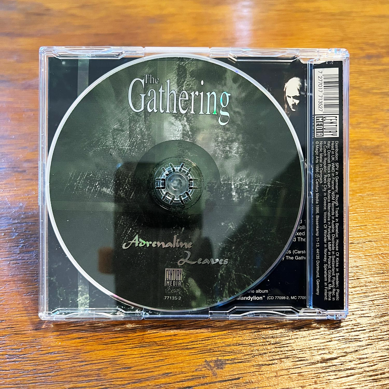 The Gathering - Adrenaline / Leaves 2