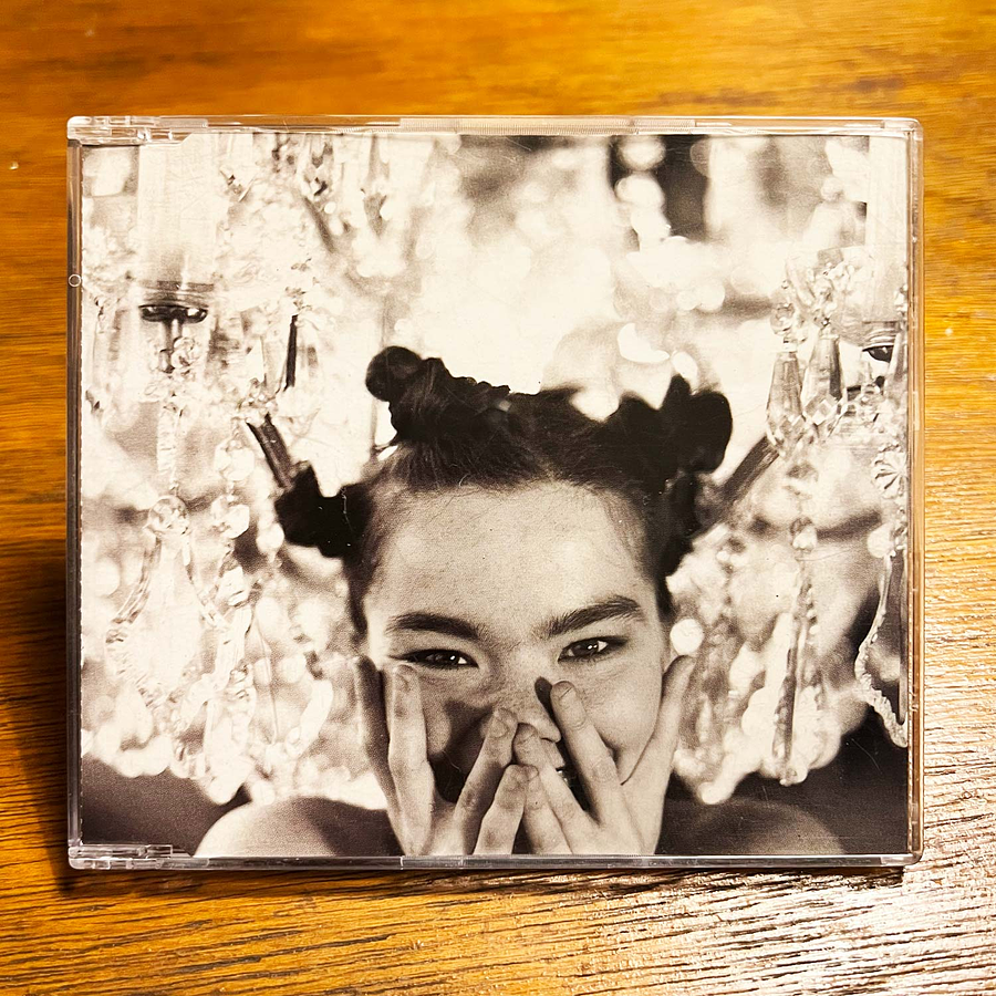 Björk - Big Time Sensuality 1