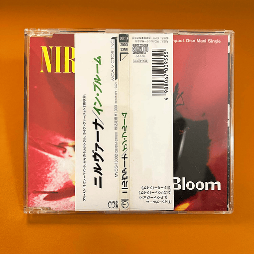 Nirvana - In Bloom (Japonés-OBI)