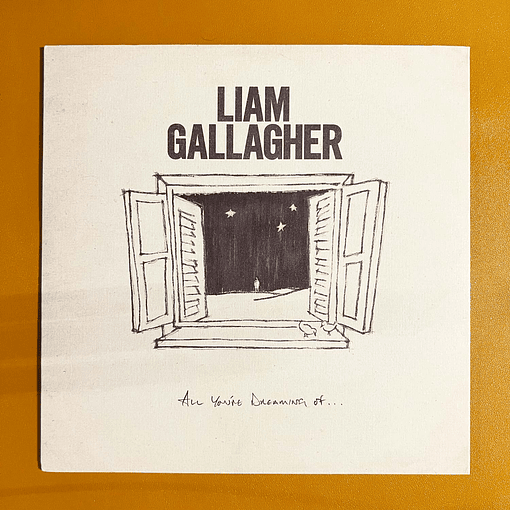 Liam Gallagher - All You're Dreaming Of... (7