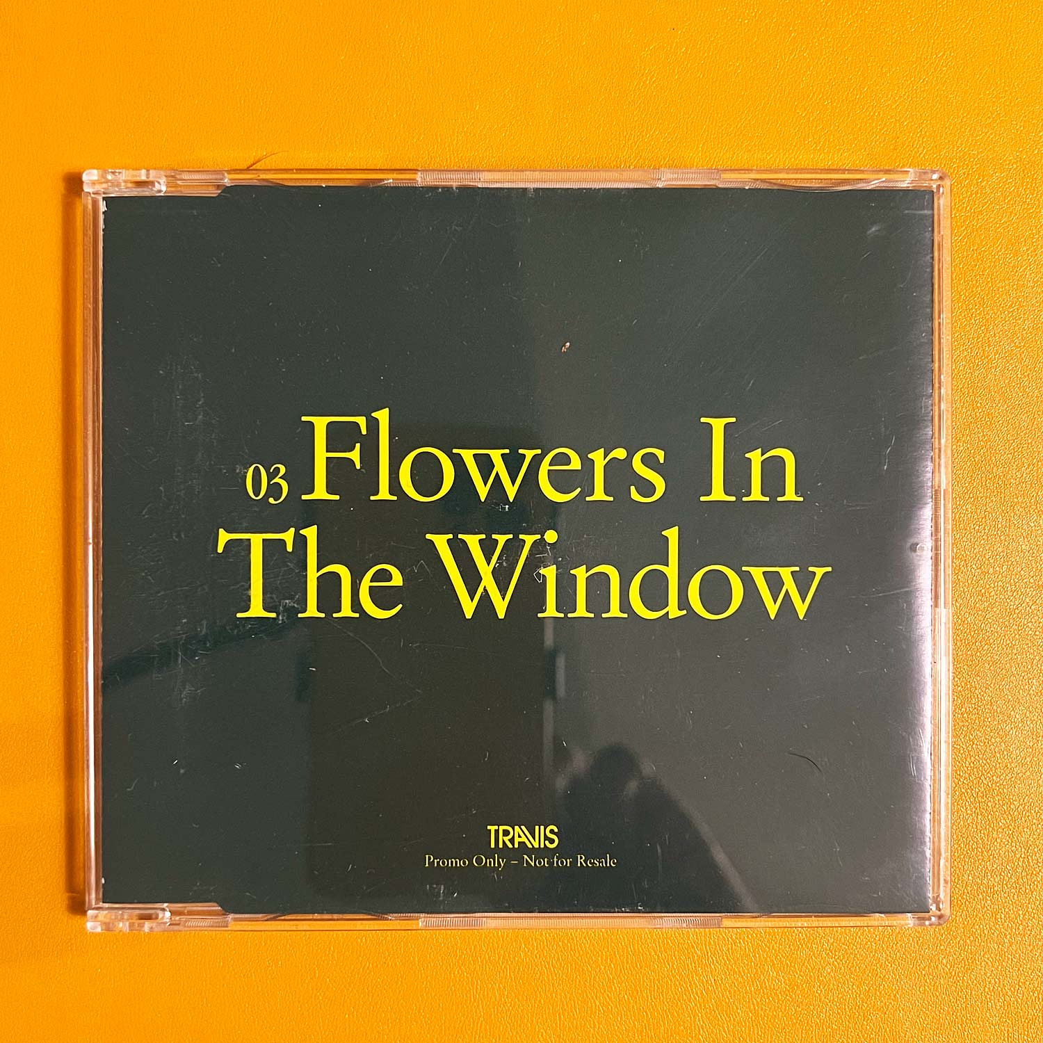 Travis - Flowers In The Window 1