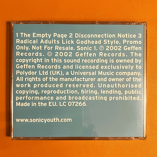 Sonic Youth - Murray Street Album Sampler