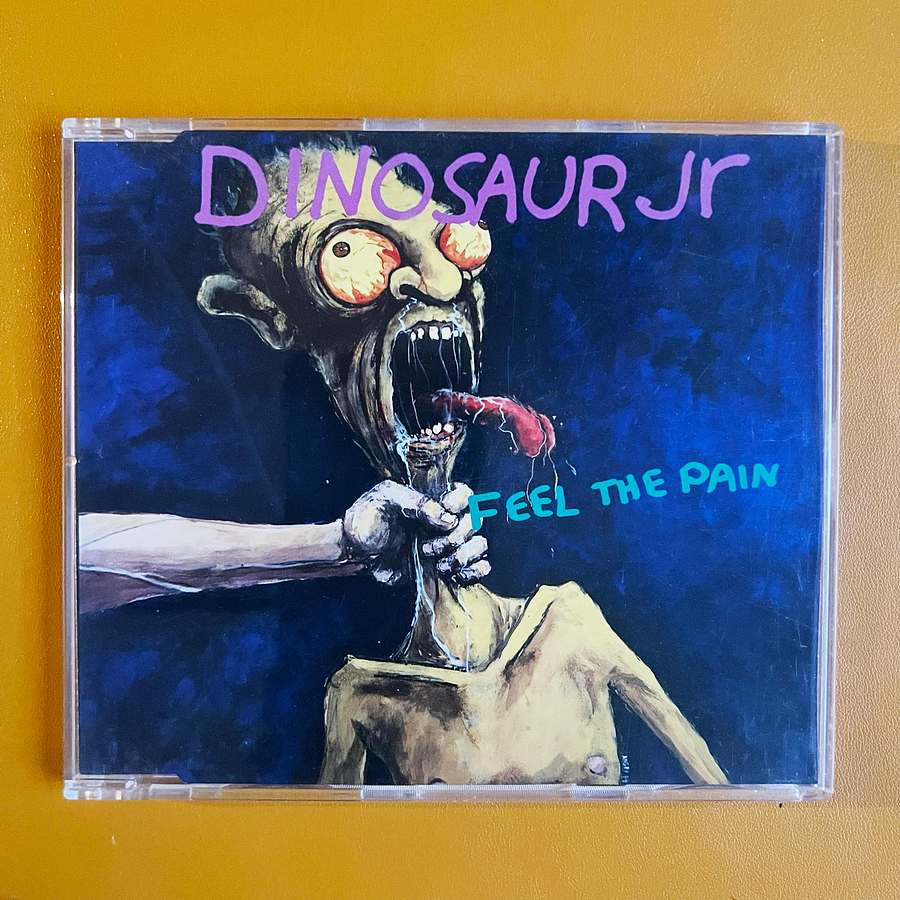 Dinosaur Jr. - Feel the Pain 1