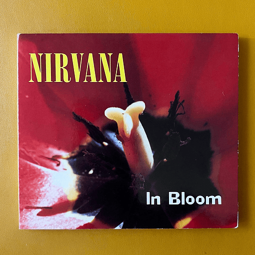 Nirvana - In Bloom (Inglés)
