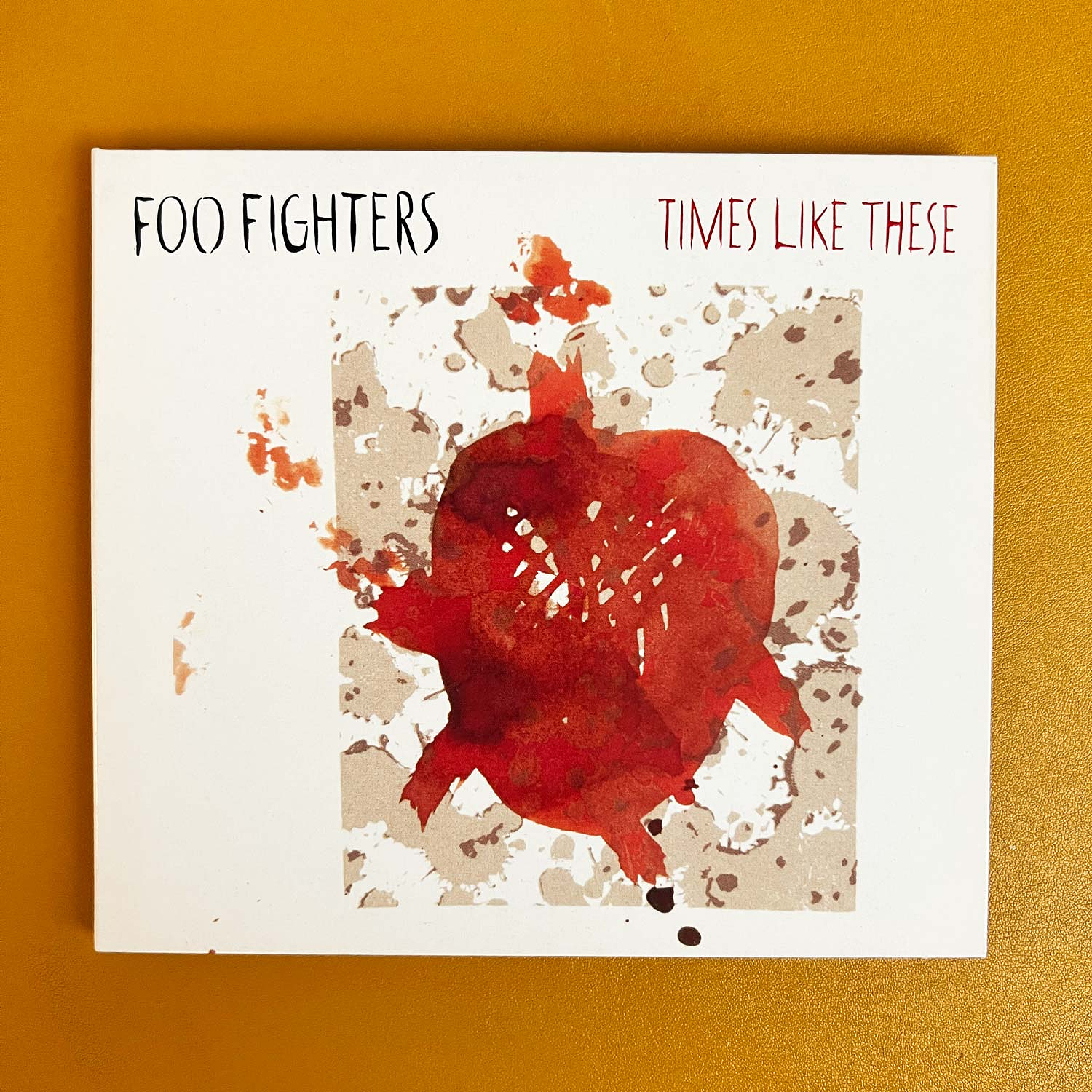 Foo Fighters - Times Like These 1