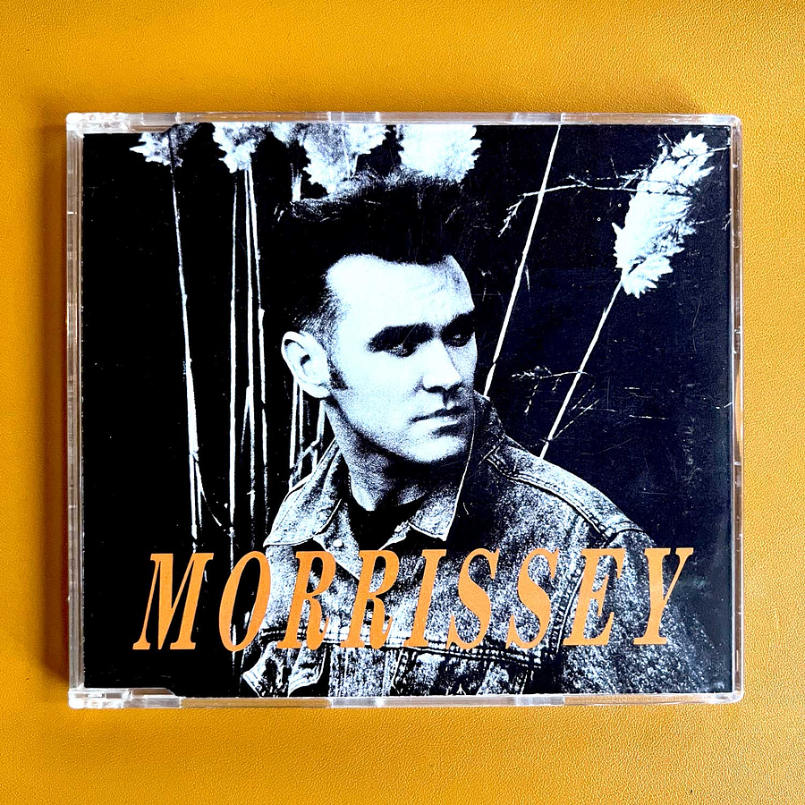 Morrissey - November Spawned A Monster 1