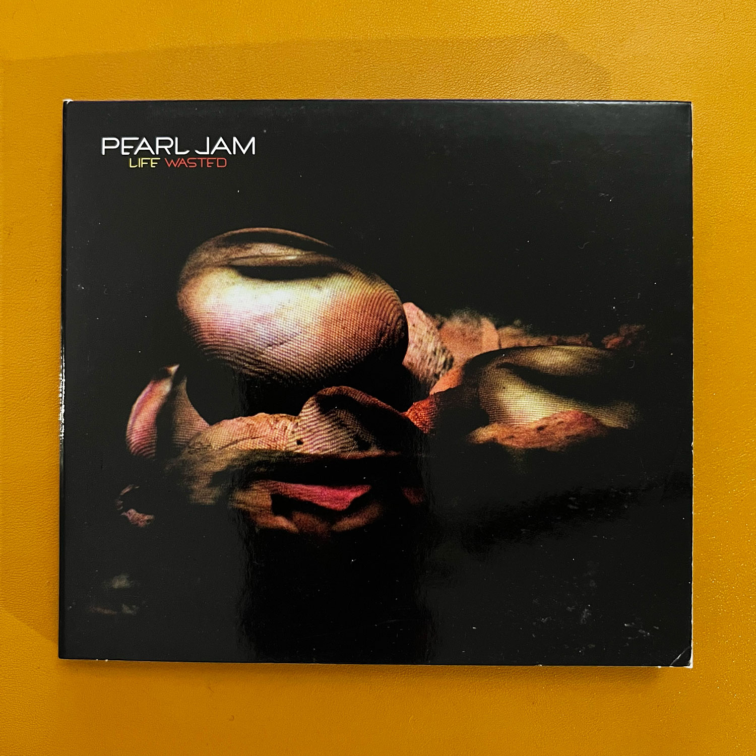 Pearl Jam - Life Wasted (Promo, Digipak) 1