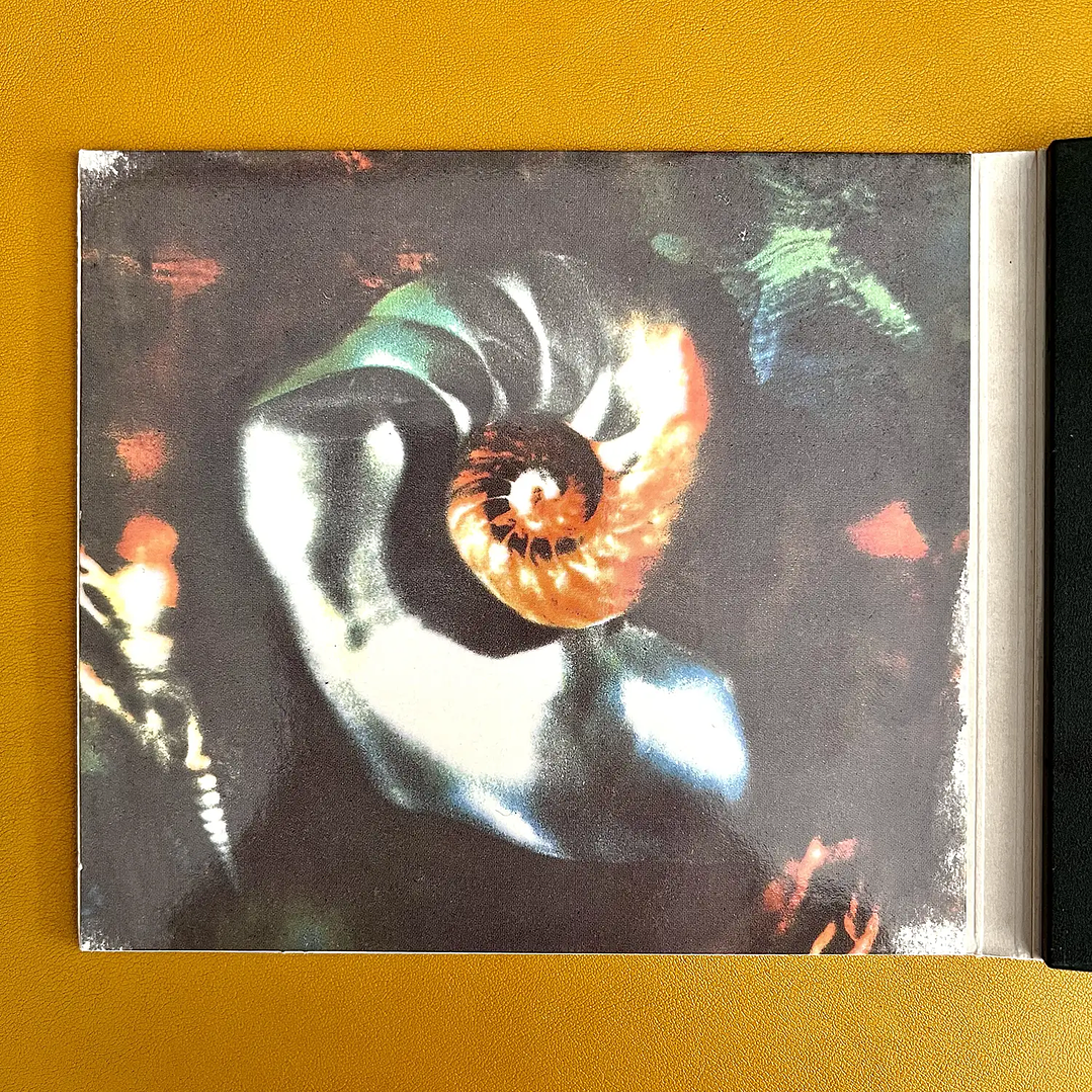 Pearl Jam - Oceans Digipak 3