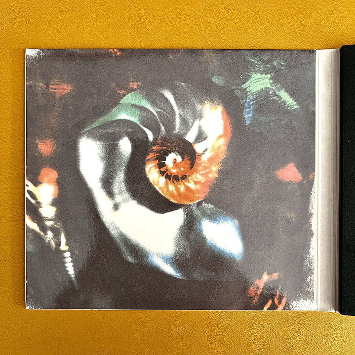 Pearl Jam - Oceans Digipak 3