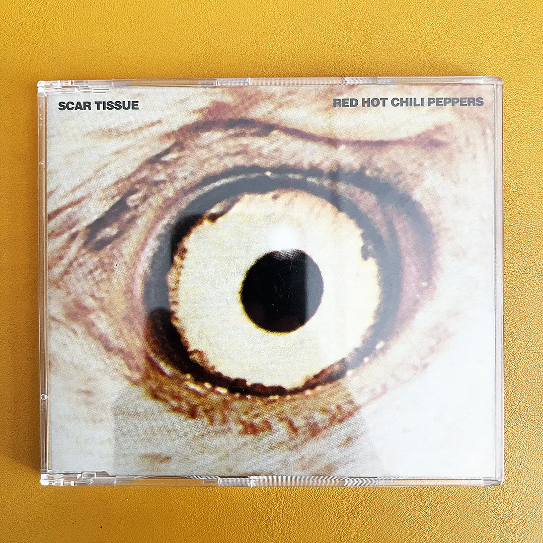 Red Hot Chili Peppers - Scar Tissue 1