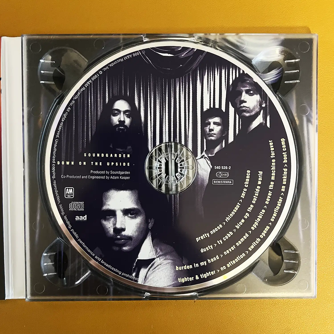 Soundgarden - Down On The Upside 3