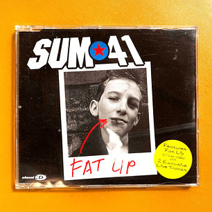 Sum 41 - Fat Lip