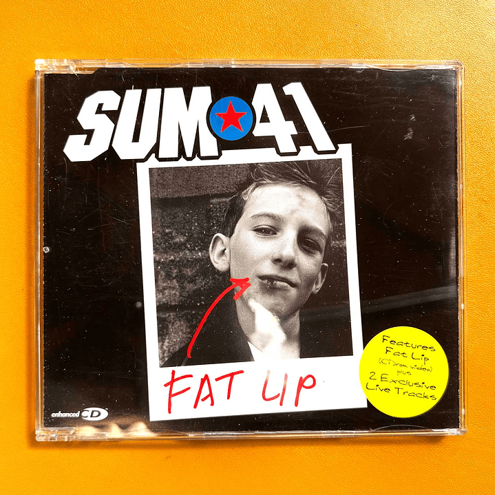 Sum 41 - Fat Lip 1