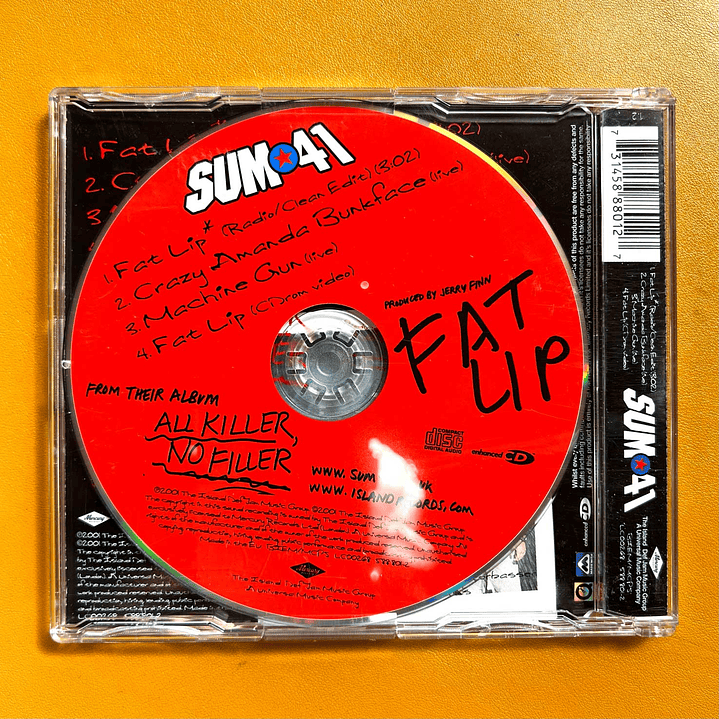 Sum 41 - Fat Lip 2