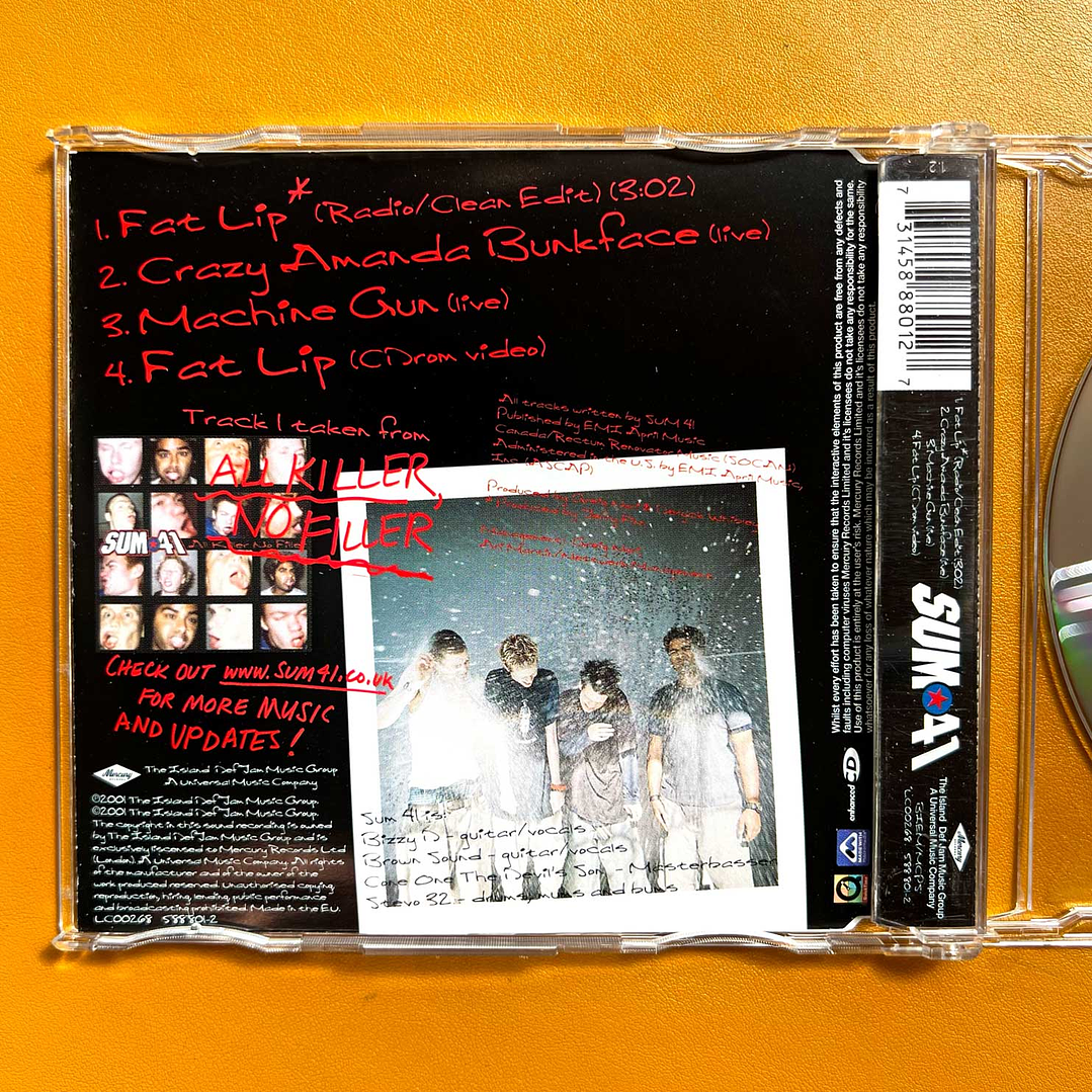 Sum 41 - Fat Lip 3