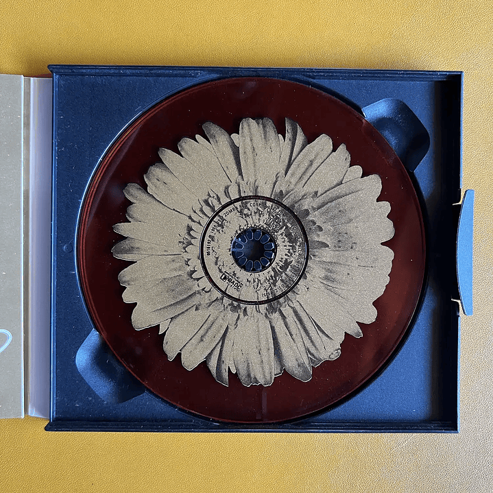 Backstreet Boys - Anywhere For You (A Special Thank You To All Our Fans) 5