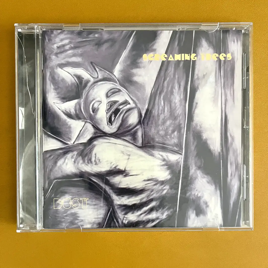 Screaming Trees - Dust 1